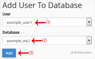 Image of using an SQL database from your Omaha SEO and web hosting company